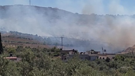 Coloni incendiano campi palestinese