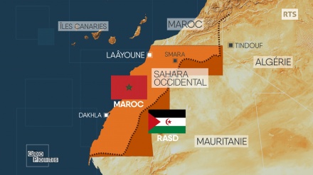 African Lion: l’Algérie va riposter?