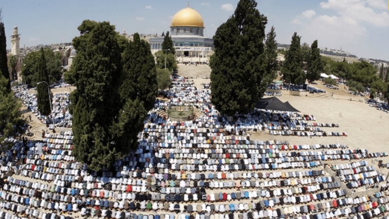 האנרכיה משתוללת