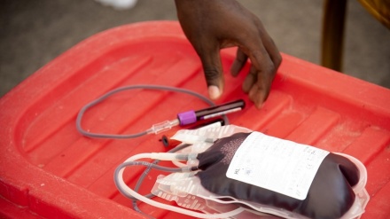 600 fëmijë talasemikë në Shqipëri, ende ndërgjegjësim i ulët për dhurime gjaku