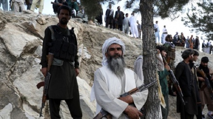 ABC: Grupi Taleban kontrollon 80% të territorit të Afganistanit