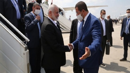 איסמעיל הנייה הגיע למרוקו