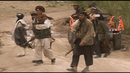 حمله تازه کوچی‌ها در تبانی با طالبان به ساکنان بهسود