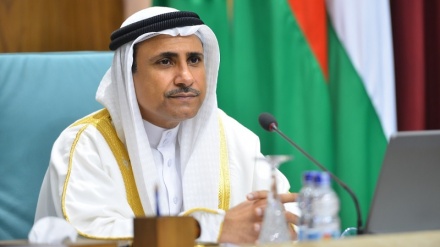 Аль-Асуми: Необходимо организовать мировую экономическую кампанию против осквернения святынь