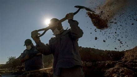 South America Covid-19 situation 'of very high concern': WHO