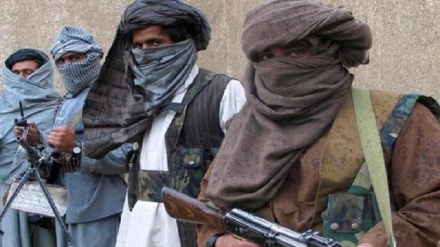 تلفات سنگین طالبان در نقاط مختلف افغانستان 