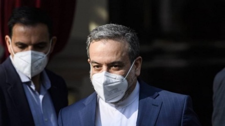  阿拉格奇：维也纳会谈的难题部分仍然存在