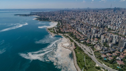 トルコで「海の鼻水」が大量発生、環境の危機に