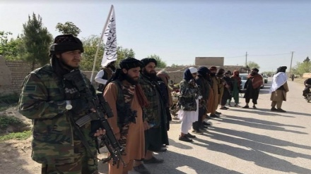 تسلیم شدن ۱۵۰ عضو طالبان در غرب افغانستان 