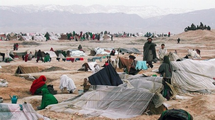 آواره شدن صدها خانواده افغان به دنبال حملات گروه طالبان 