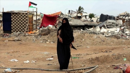 Palestine: Families obliterated, lives destroyed