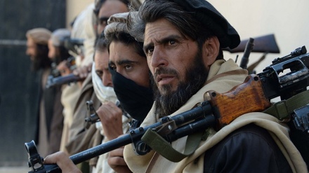 واکنش طالبان به بمباران مواضع این گروه توسط هوایپماهای امریکا
