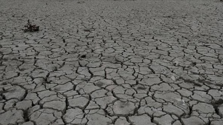 نگرانی کشاورزان ولایات  غرب افغانستان از خشکسالی 