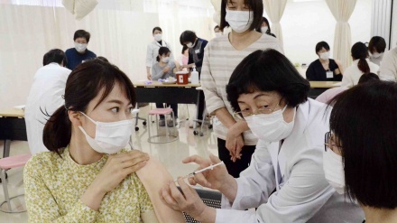 日本の新型コロナ　２８人死亡・１５２０人感染確認