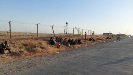  پناهنده شدن بیش از 130 نظامی افغان به تاجیکستان