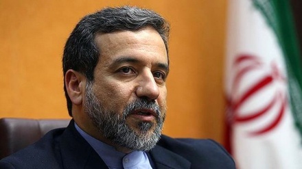 阿拉格奇：维也纳会谈中的分歧可以解决