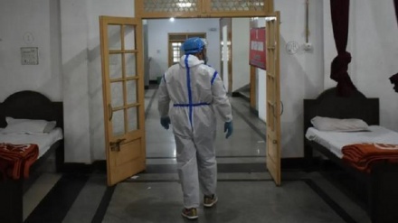 印度首次发现绿真菌症病例