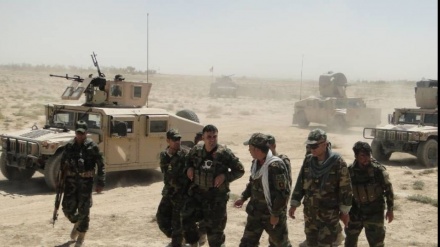   کشته شدن 248 عضو طالبان در افغانستان 