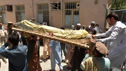 Gunmen shoot five polio vaccinators to death in eastern Afghanistan