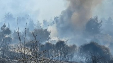 被占领的古都斯犹太复国主义定居点发生大火