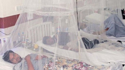 巴基斯坦登革热病毒复发