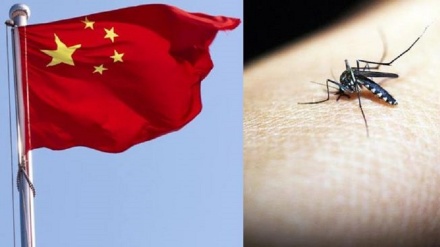 中国正式获得消除疟疾认证