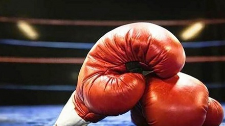 伊朗拳击手赢得亚锦赛银牌