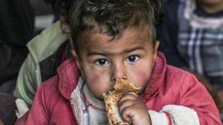 bagtyýarlyk çeşmesi