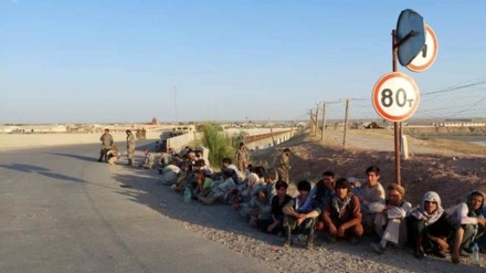 Më shumë se 130 ushtarë afganë ikin në Taxhikistan