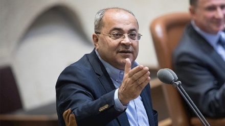 אחמד טיבי על מצעד הדגלים: 