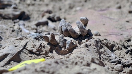 伊拉克迪亚拉发现新的万人冢