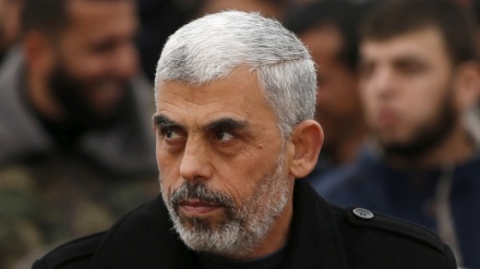 Hamas leader in Gaza: Al-Aqsa Mosque will be liberated by all Palestinian sections soon