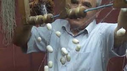 تولید 300تن ابریشم سال گذشته در تاجیکستان