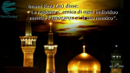 Islam, Imam Reza (as)