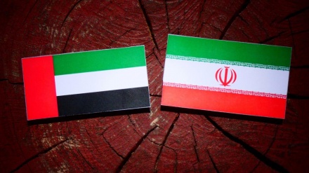 伊朗和阿联酋间的贸易量将增加到300亿美元