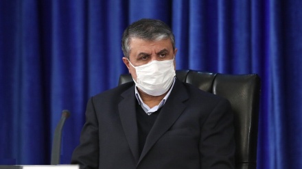 伊朗道路与城市发展部部长访问阿塞拜疆共和国