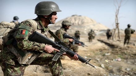 تلفات سنگین درگیری ها در افغانستان 