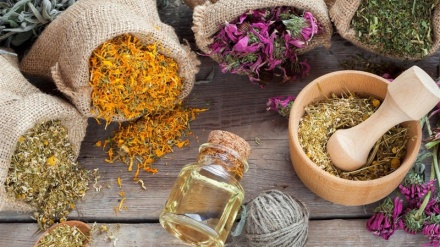 イラン伝統医学がＷＨＯにより正式に認証