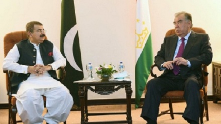دیدار رئیس جمهور تاجیکستان با رئیس مجلس سنای پاکستان