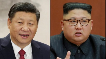 中朝举办共同座谈会