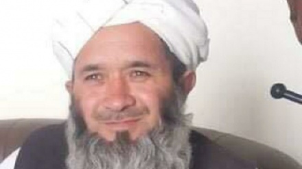 ترور مقام ارشد اداره حج و اوقاف ولایت لغمان