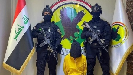 Vritet kasapi i ISIS në një operacion të organizatës Mobilizimi Popullor