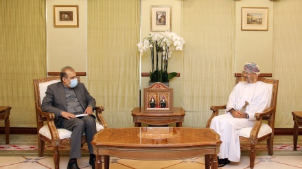 伊朗外长高级助理与阿曼外交​大臣会晤