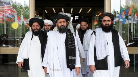 ادعای طالبان درباره بی علاقگی دولت افغانستان به مذاکرات صلح 