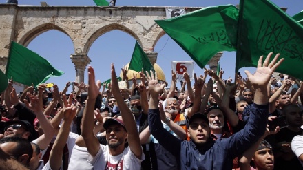 Opinion poll shows Palestinian support for Hamas increased after Operation al-Quds Sword 