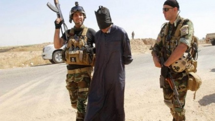 بازداشت یکی از سران داعش در شمال عراق 