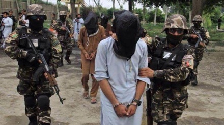 بازداشت یک فرمانده گروه داعش در ولایت ننگرهار