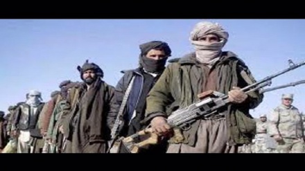 کشته شدن ۲۷ عضو گروه طالبان در ولایت پکتیا