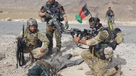 کشته شدن صدها عضو طالبان در افغانستان 