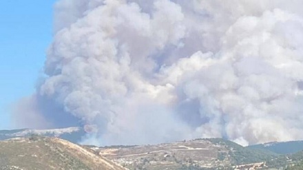 黎巴嫩北部森林发生大火